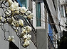 방화근린공원 (2019_04087)