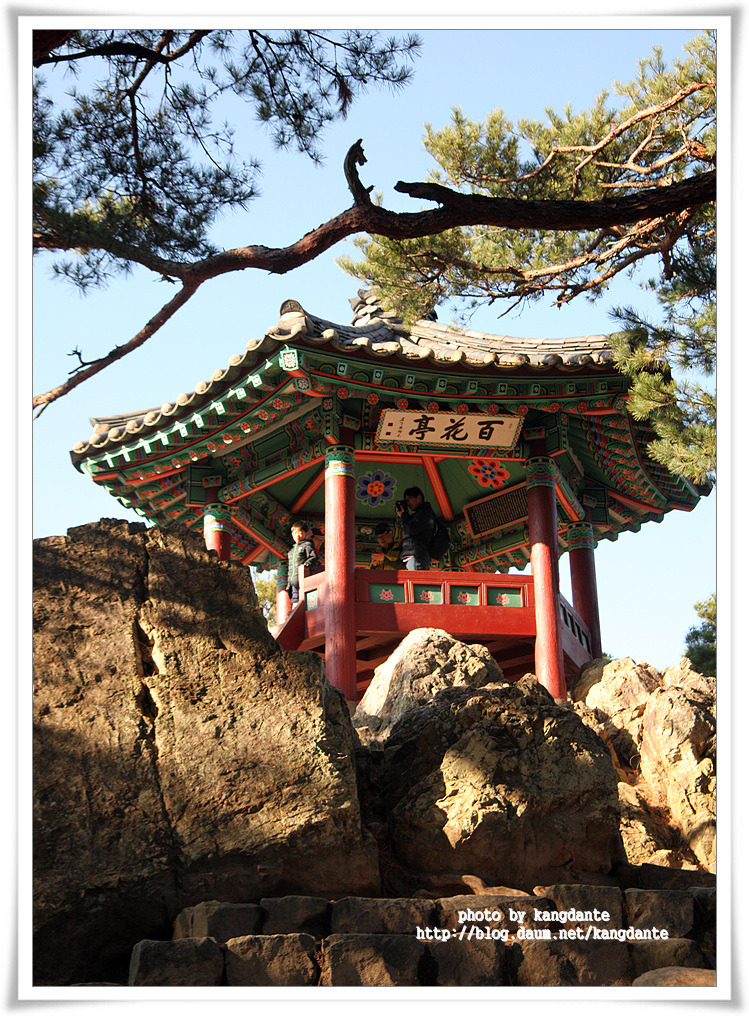 백화정 이미지
