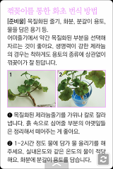 "꽃기린의 미니정원" 카드북으로 새롭게 출시되었습니다.