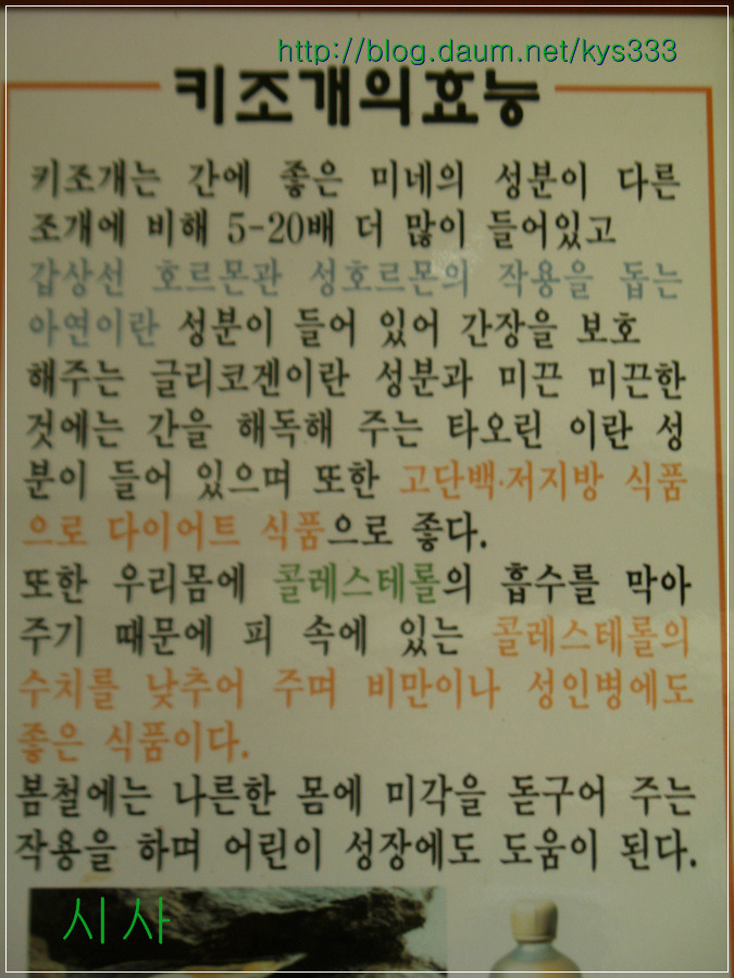 <장흥맛집> 원조 50년 전통 바다하우스...2011. 10월.