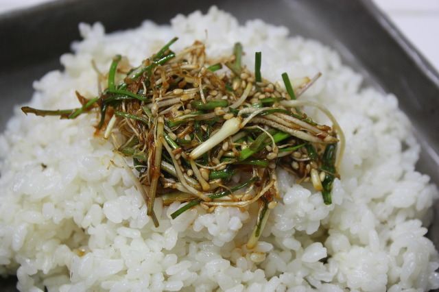 콩달래 이미지