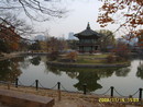 2010. 3. 10. 눈풍경 사진 