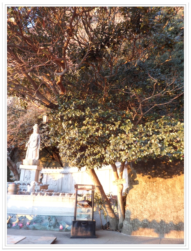 향일암('11. 3. 4)