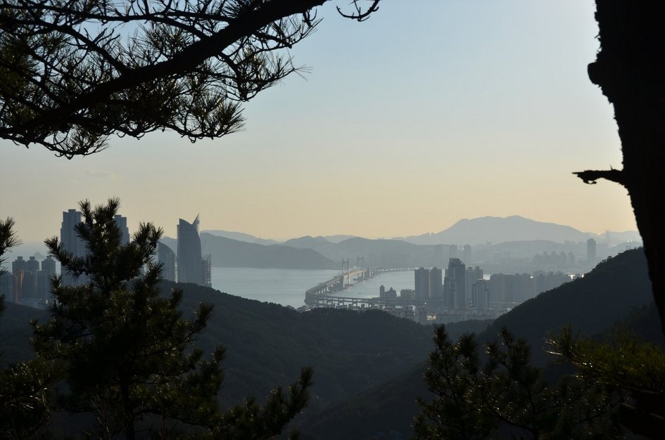 <465차>갈맷길12- 장산 너덜길