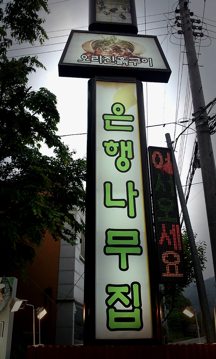 은행나무집 이미지