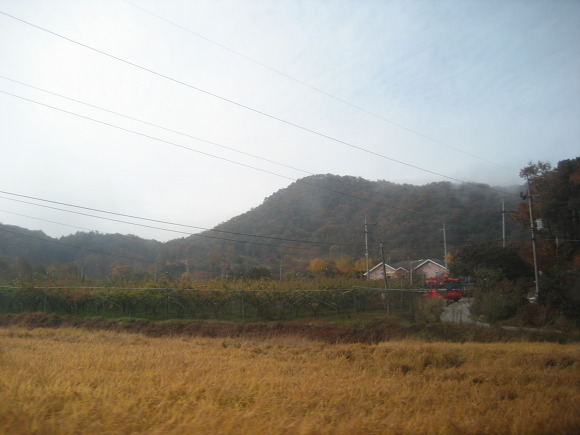 132F9E464EA41CB312D545