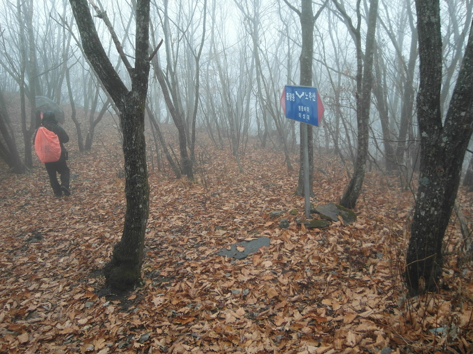 종량동 하산길 이미지