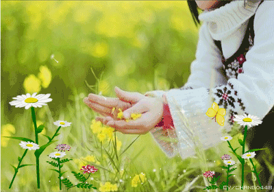 13368C564DA8F0511C428B