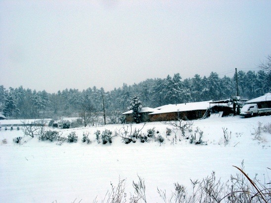 주민 여러분! 삽 들고 회관 앞으로 모이쇼잉! 