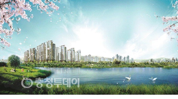 백조와 믿음 이미지