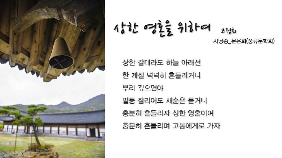 '차꽃, 바람에 머물다' 출판행사 PPT