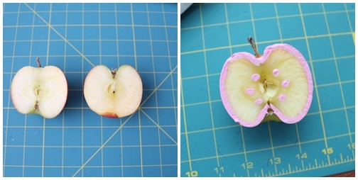 반쪽사과 이미지