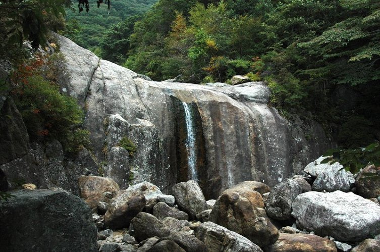 2009 천왕봉 산행(4) 제석봉을 지나며,,