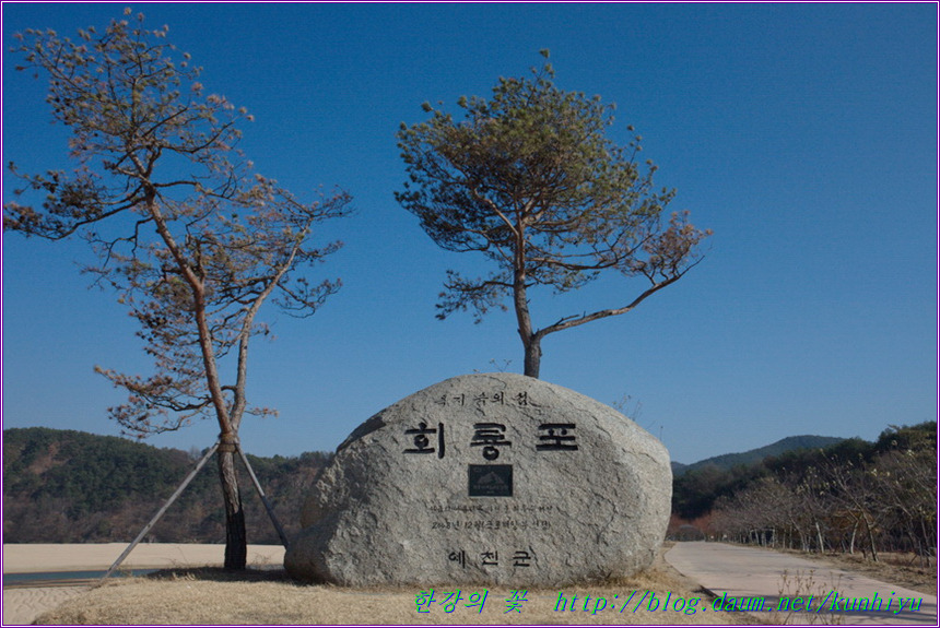 회룡포-한강의 꽃