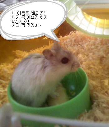 유니버셜베딩 이미지