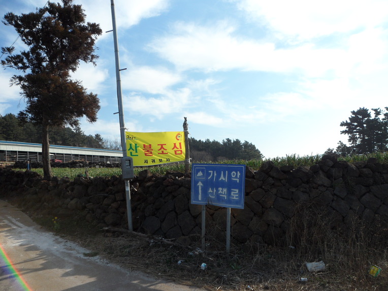 휘석지질 이미지