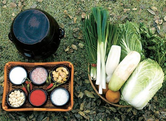 [김장은 과학이다] 설탕 염려증 버리세요-유산균이 이로운 물질로 바꿔