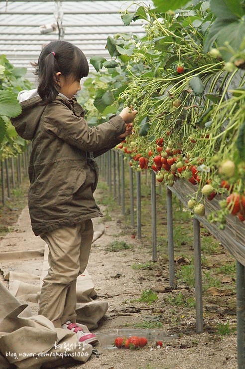 1473EA534DA873F01AADCD