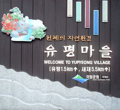 대원사 이미지