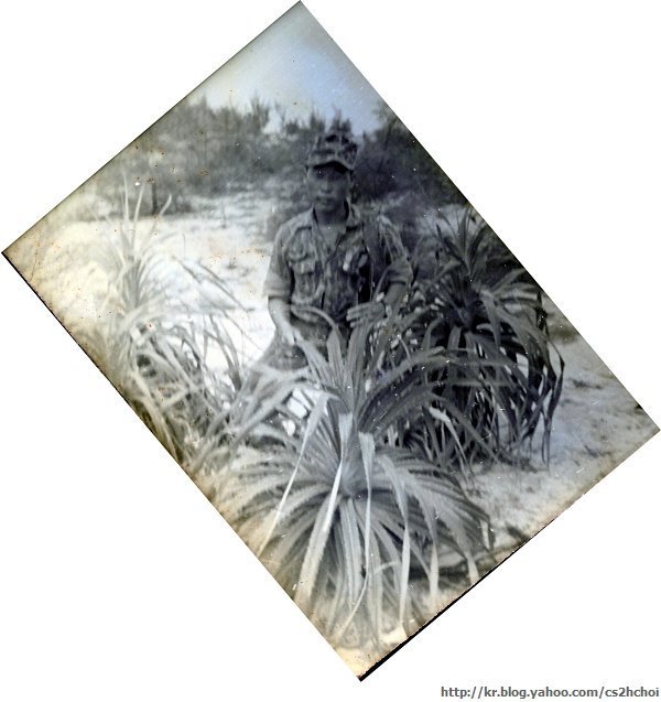 청룡3대대 11중대 방석의 이모저모 - vietnam 1968.