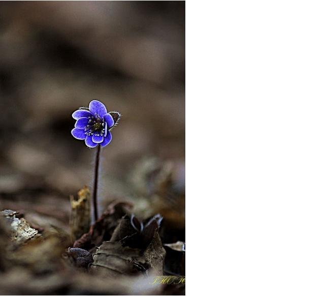 그런사람또 없습니다