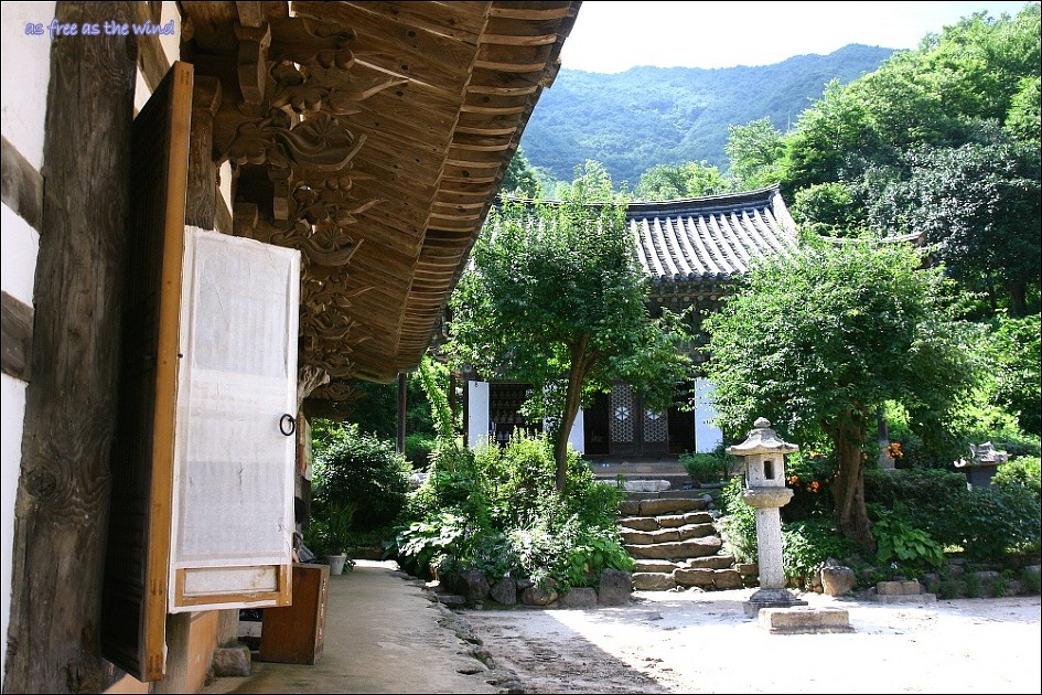 바람이의보물창고 이미지