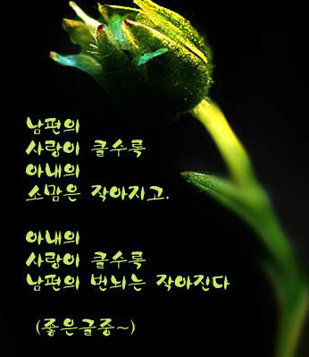 164916014AEBB01D52DF04