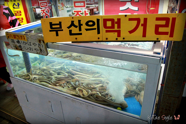 싸고맛있는집 이미지