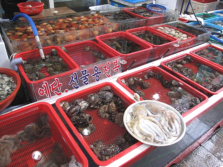 풍화김밥 이미지
