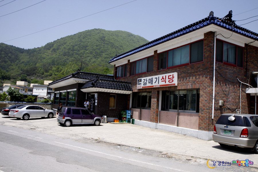 갈매기식당 이미지