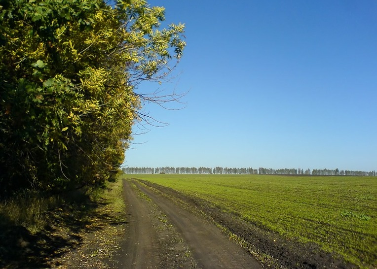 1726B1534DF5E0652B8268
