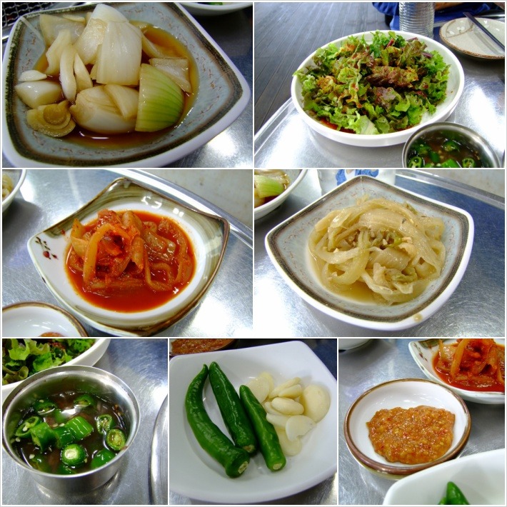 돈돼지 이미지