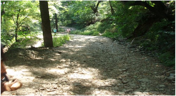 예봉산,운길산 산행 후기