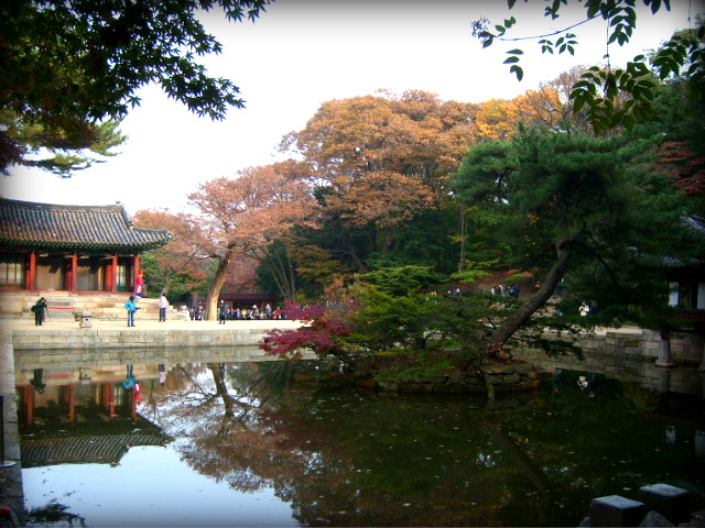 18557B0E4AF5BEDE144020