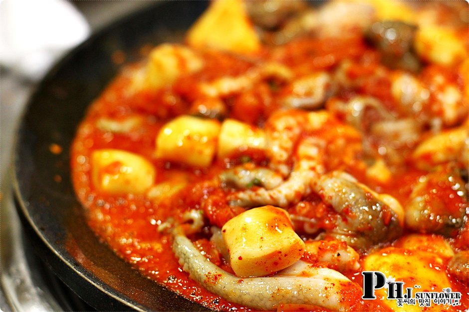 불광맛집-제철맞아 살찐 쭈꾸미와 맛있게 매운맛집을 원한다면-독도쭈꾸미