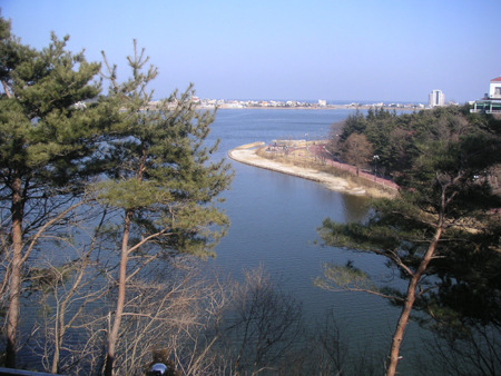 카페불로 이미지