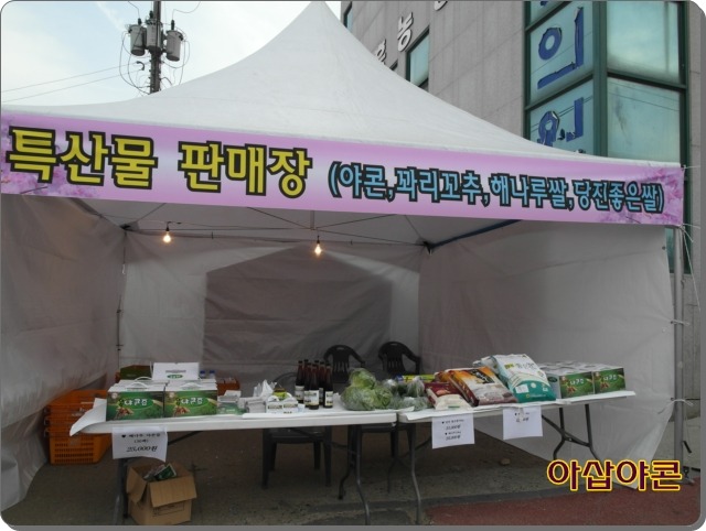 아삽야콘농원 이미지
