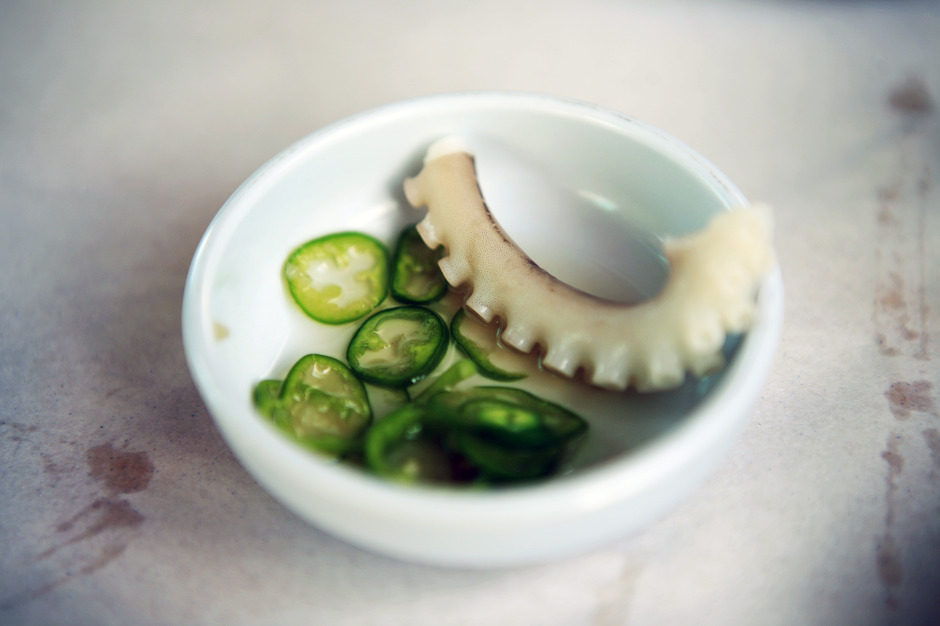 서산낙지 이미지