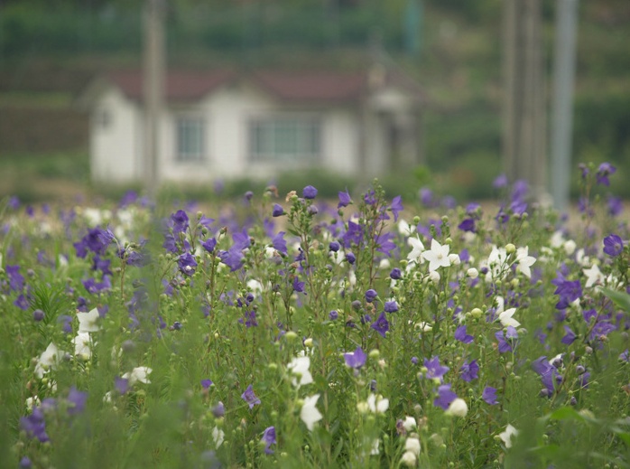 마임화장품