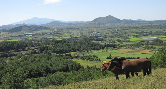이미지 전체보기