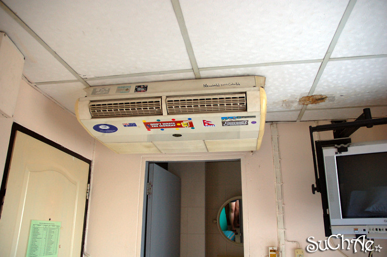 207E253A4E96A03529A7AC