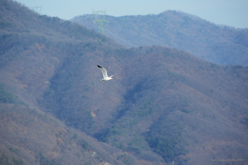 교학상장 이미지