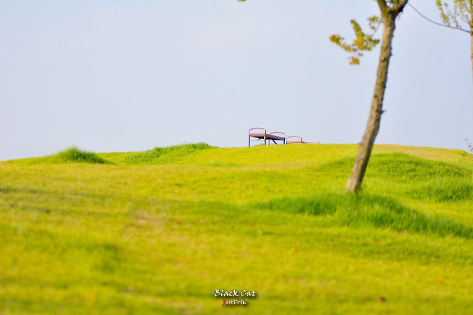 잊지마(Pattern 109)-세종신도시 호수공원