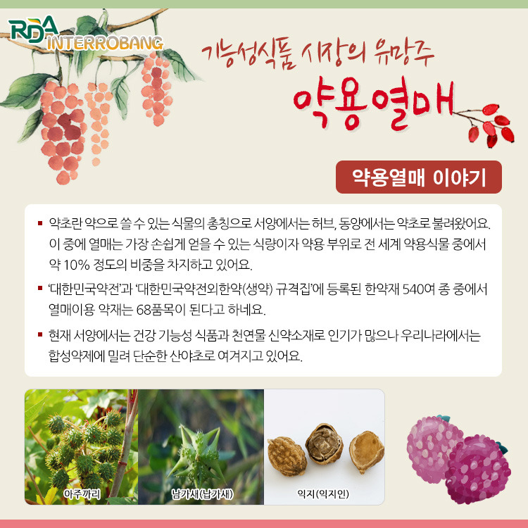 동양약용식물 이미지