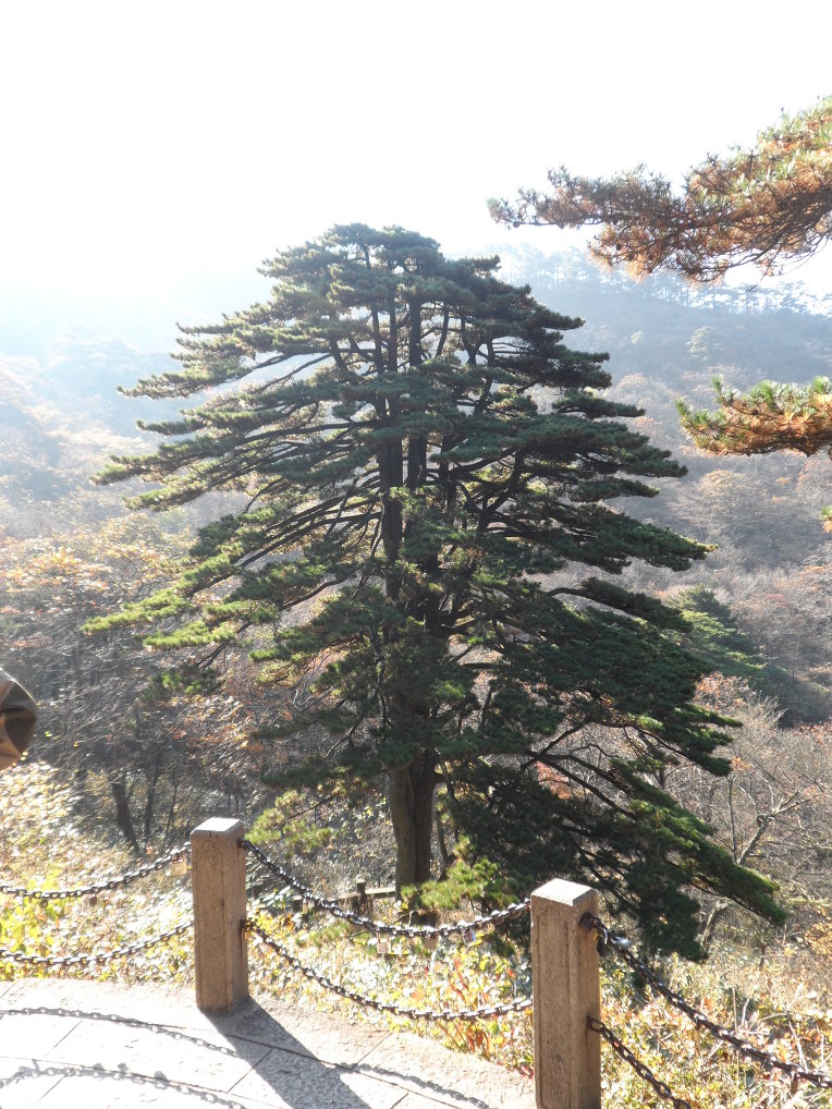 산외산투어 이미지