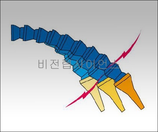 자재조립호스,ASSEMBLING FLEXIBLE TUBING POM