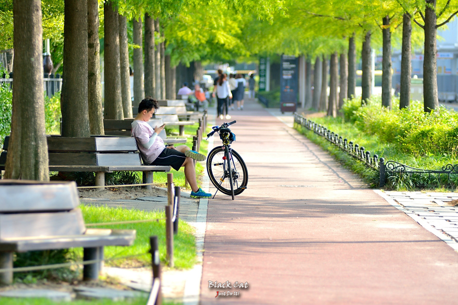 하나를위해(Pattern 110)-대전한밭수목원