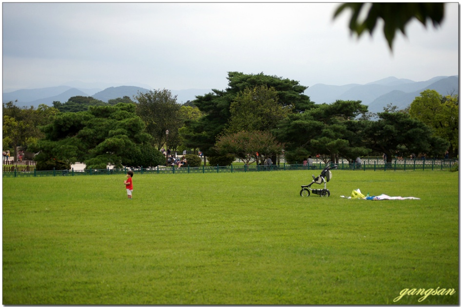 경주 동부사적지로의 산책 / 닥스훈트 요롱이 최고의 날