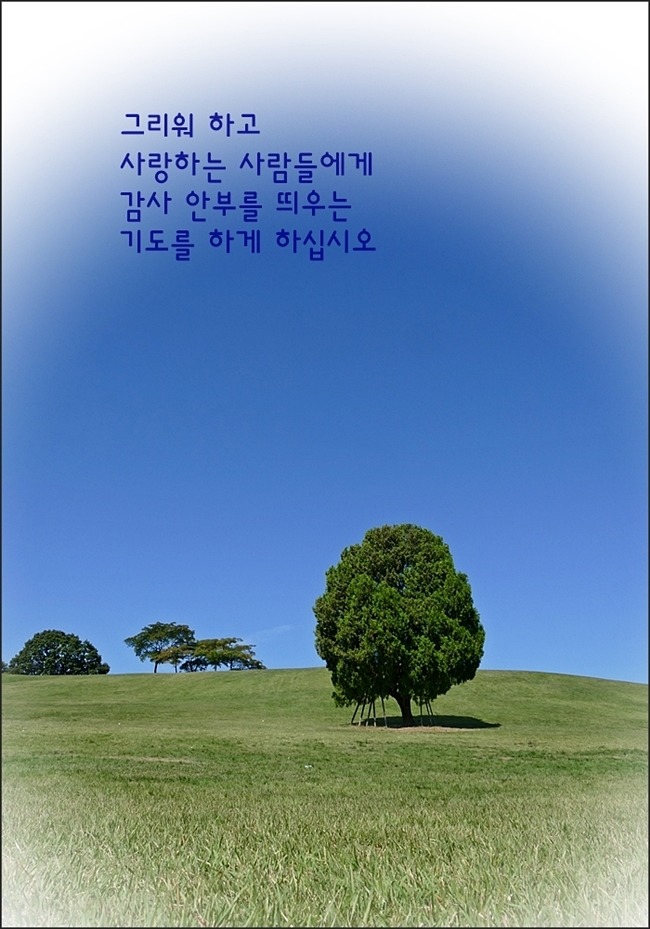 ---'12월의 기도'......(윤영초)