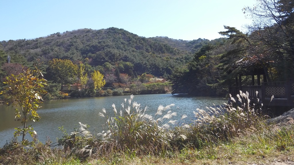 블로그 이미지